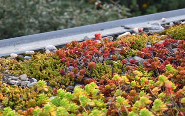 the cost of Warkleigh green roof installation