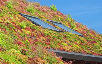 Warkleigh living roof systems