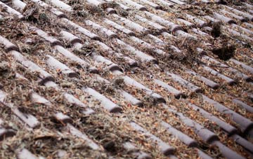 Warkleigh roof cleaning companies