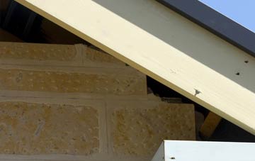 soffit repair Warkleigh